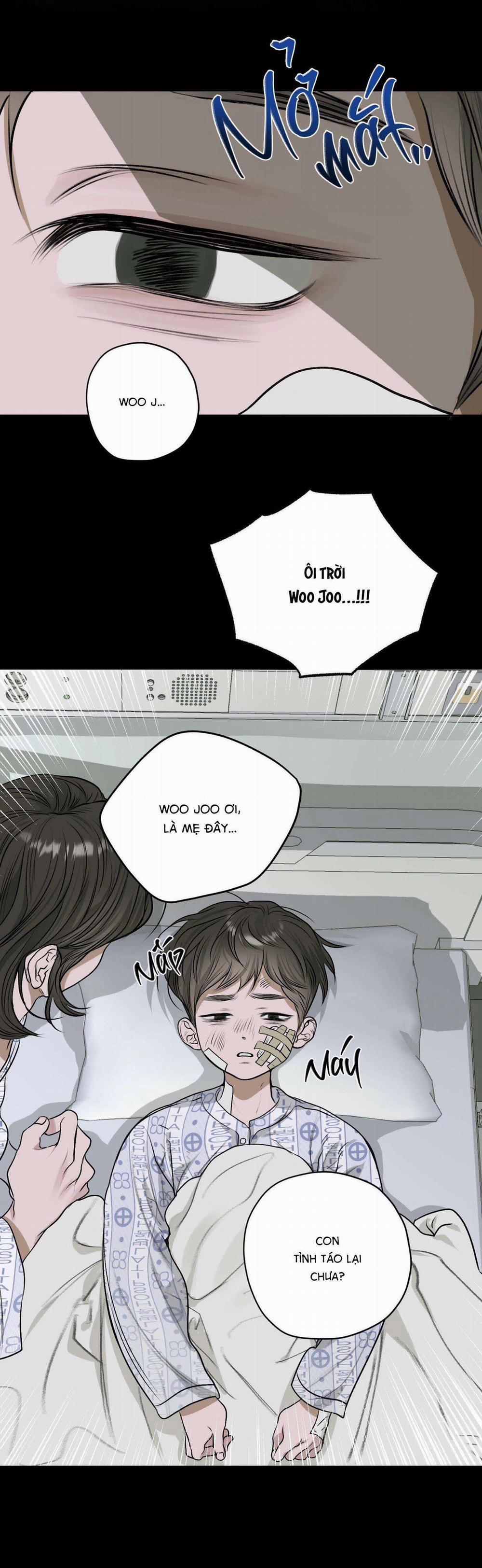 Đầm Sen Héo Úa 11 trang 15