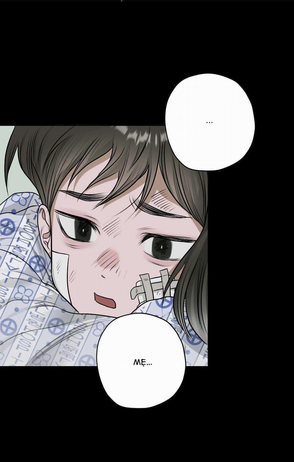 Đầm Sen Héo Úa 11 trang 19