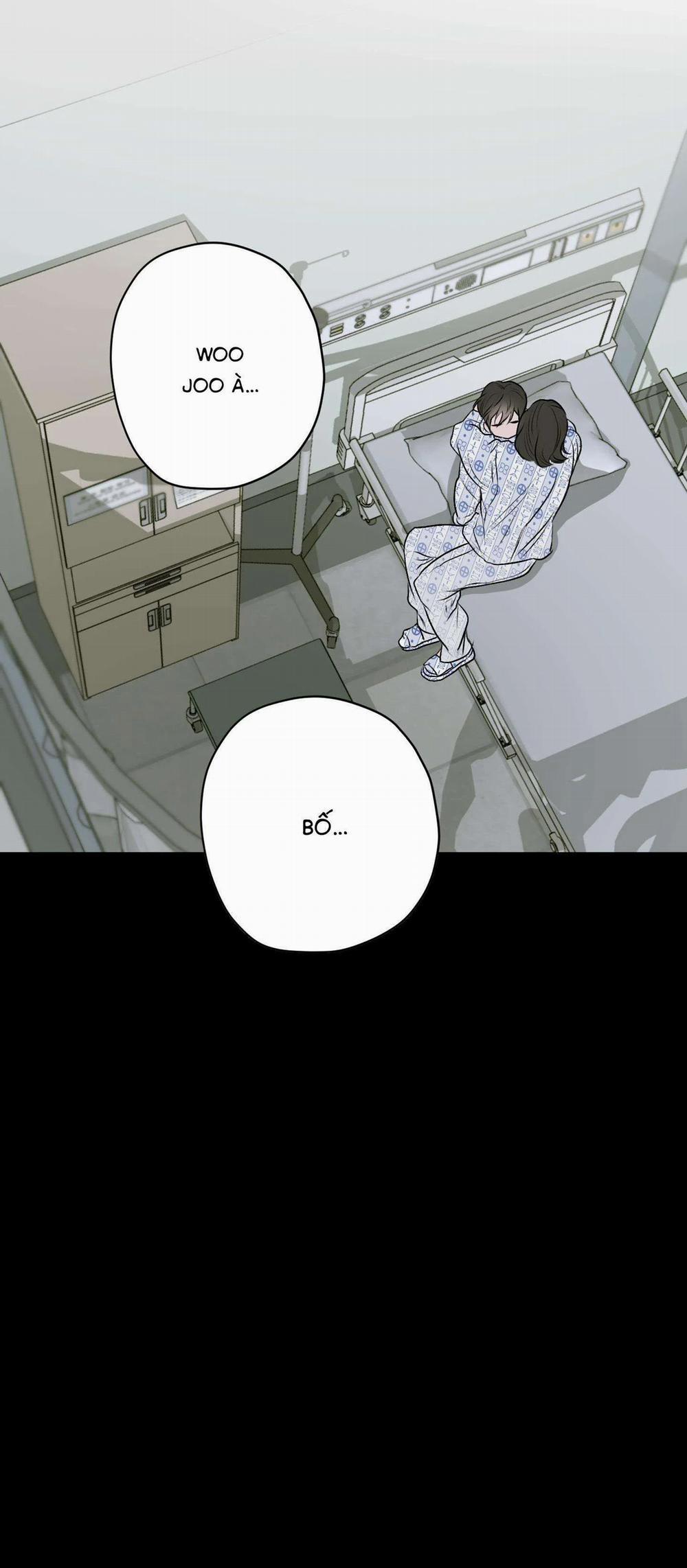 Đầm Sen Héo Úa 11 trang 21