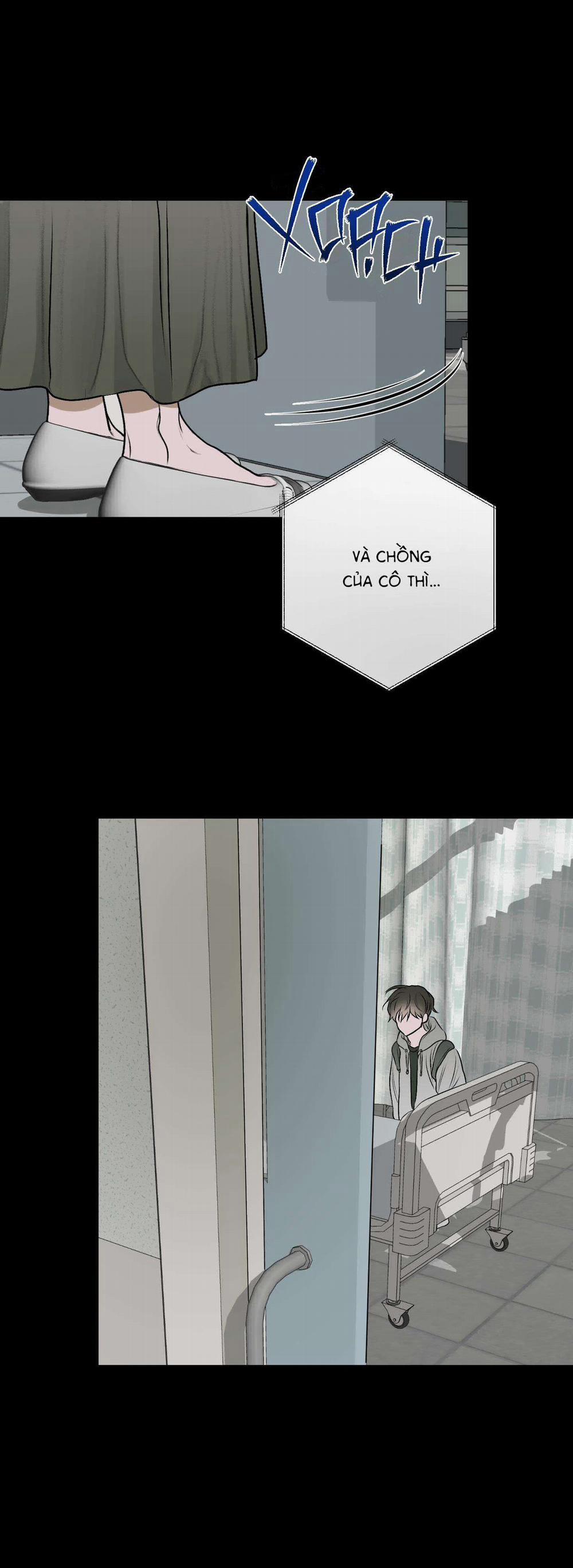 Đầm Sen Héo Úa 11 trang 24