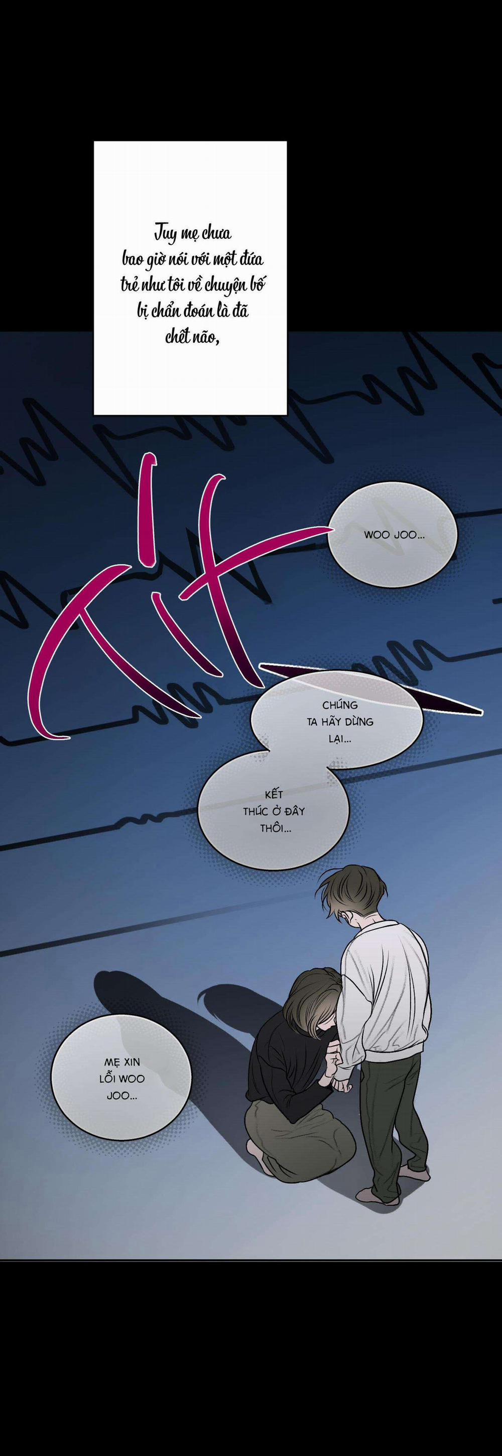 Đầm Sen Héo Úa 11 trang 37