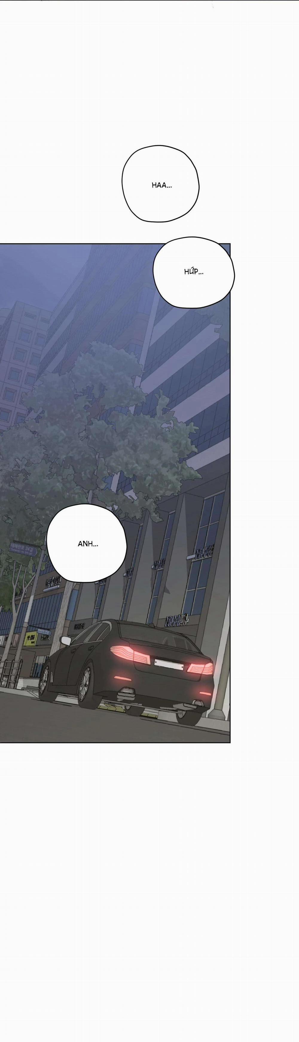 Đầm Sen Héo Úa 11 trang 58