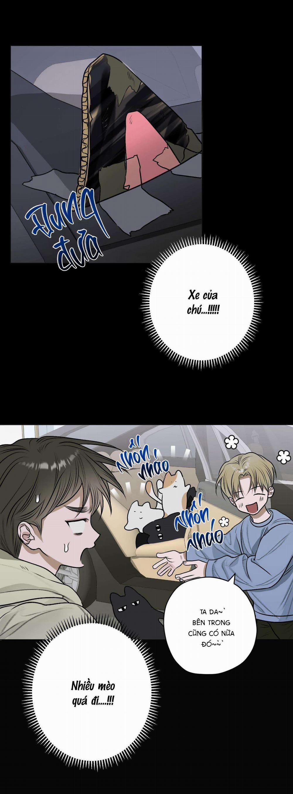 Đầm Sen Héo Úa 12 trang 24