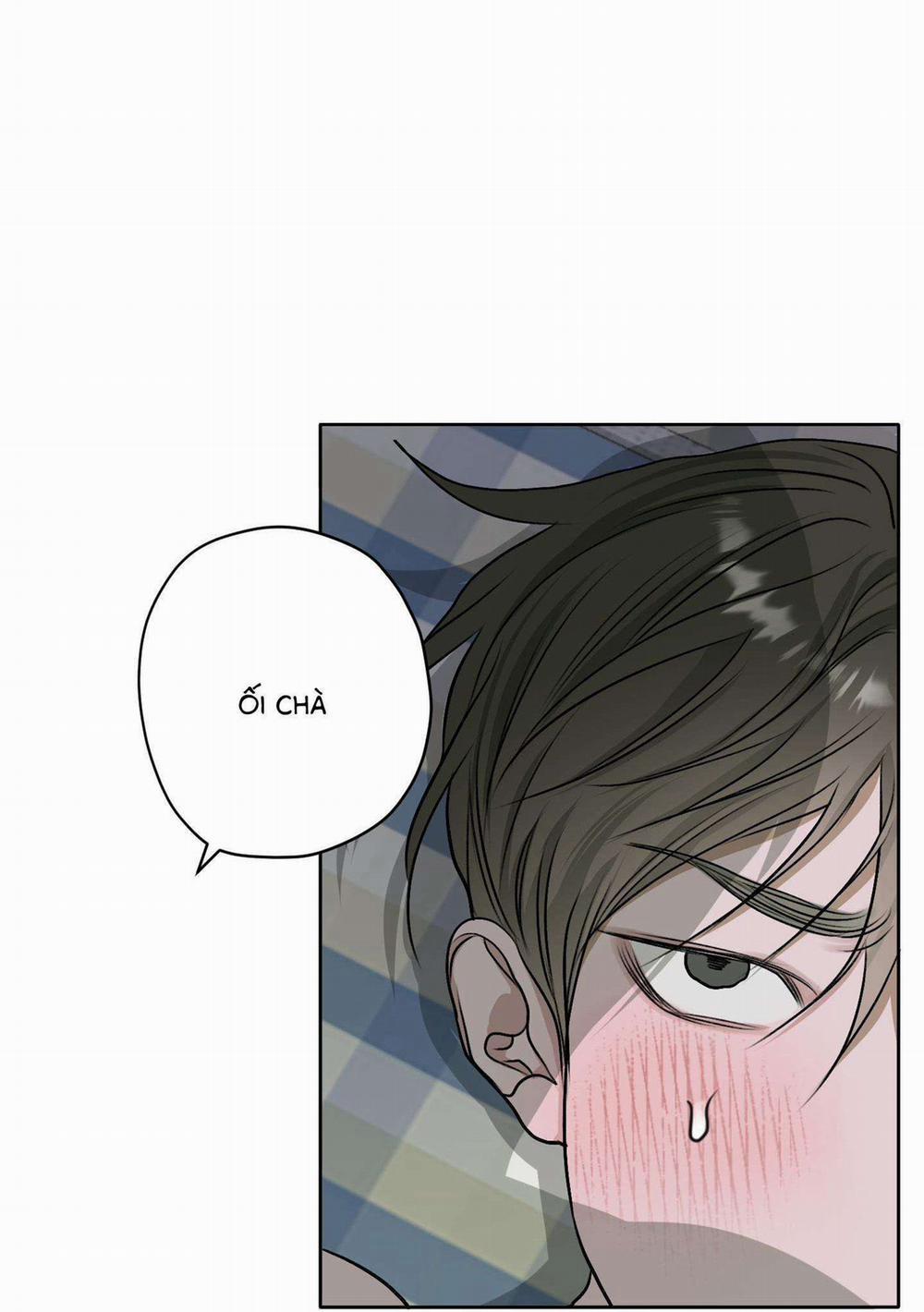 Đầm Sen Héo Úa 15 H+ trang 59