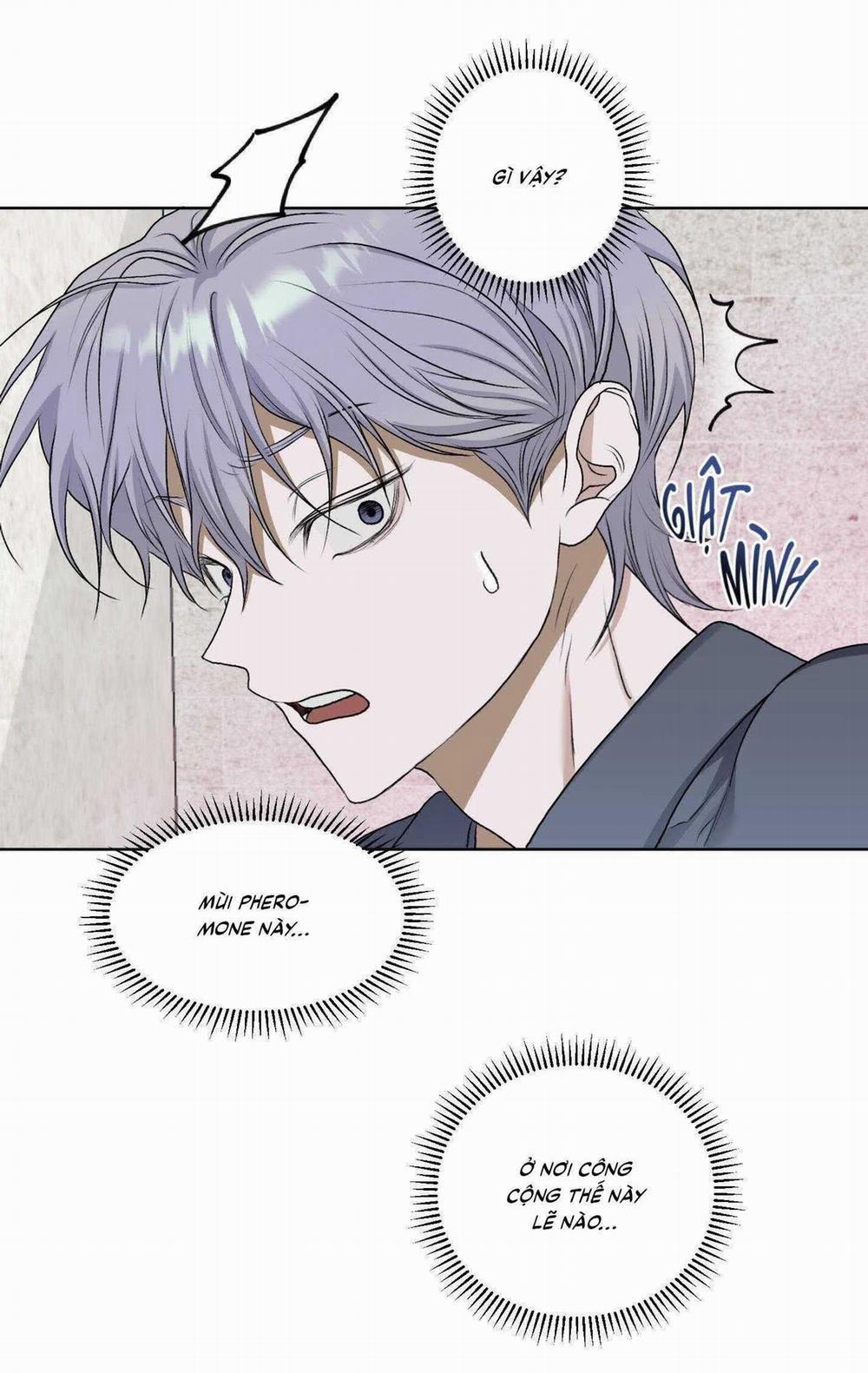 Đầm Sen Héo Úa 38 trang 39