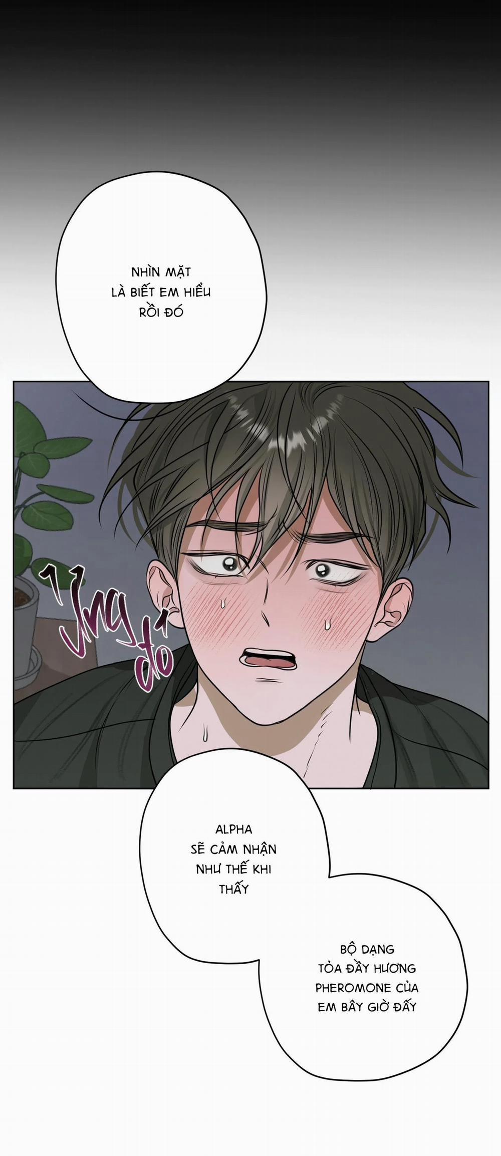 Đầm Sen Héo Úa 9 trang 42