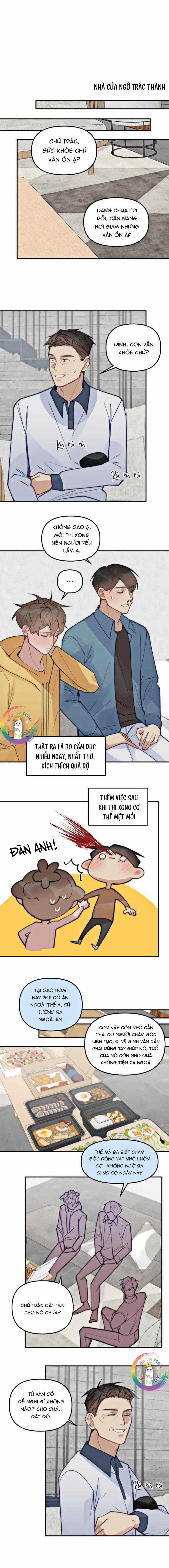 Đàn Anh "sói Ca" Cùng Phòng Của Tôi 75 trang 14