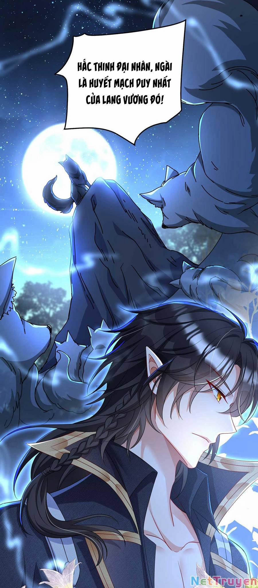 Dẫn Sói Vào Nhà 16 trang 17