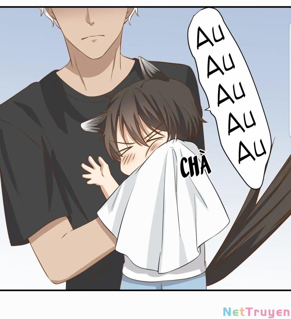 Dẫn Sói Vào Nhà 18 trang 12