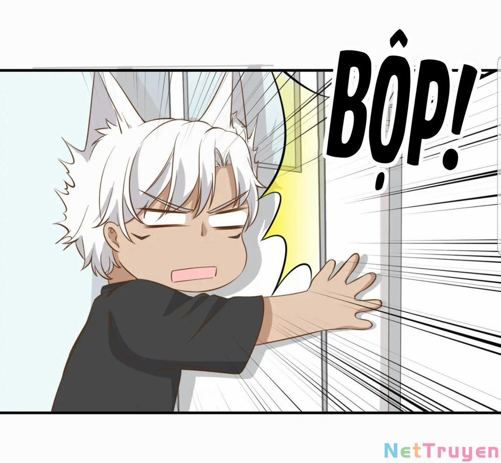 Dẫn Sói Vào Nhà 18 trang 40