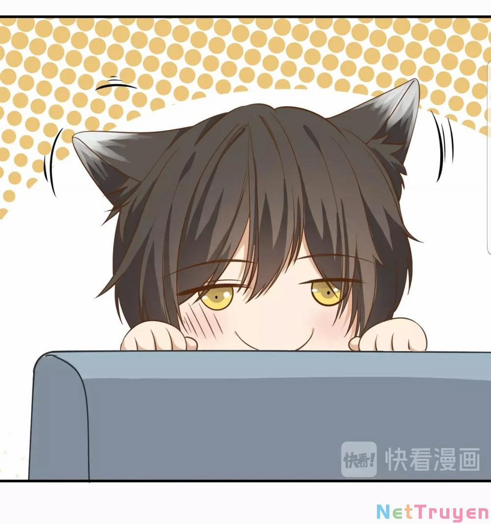 Dẫn Sói Vào Nhà 18 trang 7