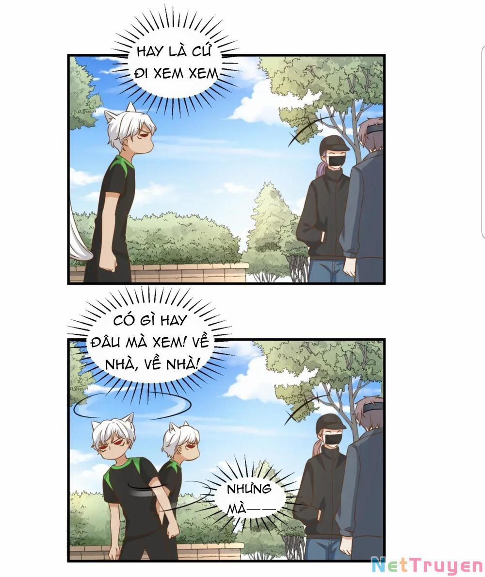 Dẫn Sói Vào Nhà 20 trang 4