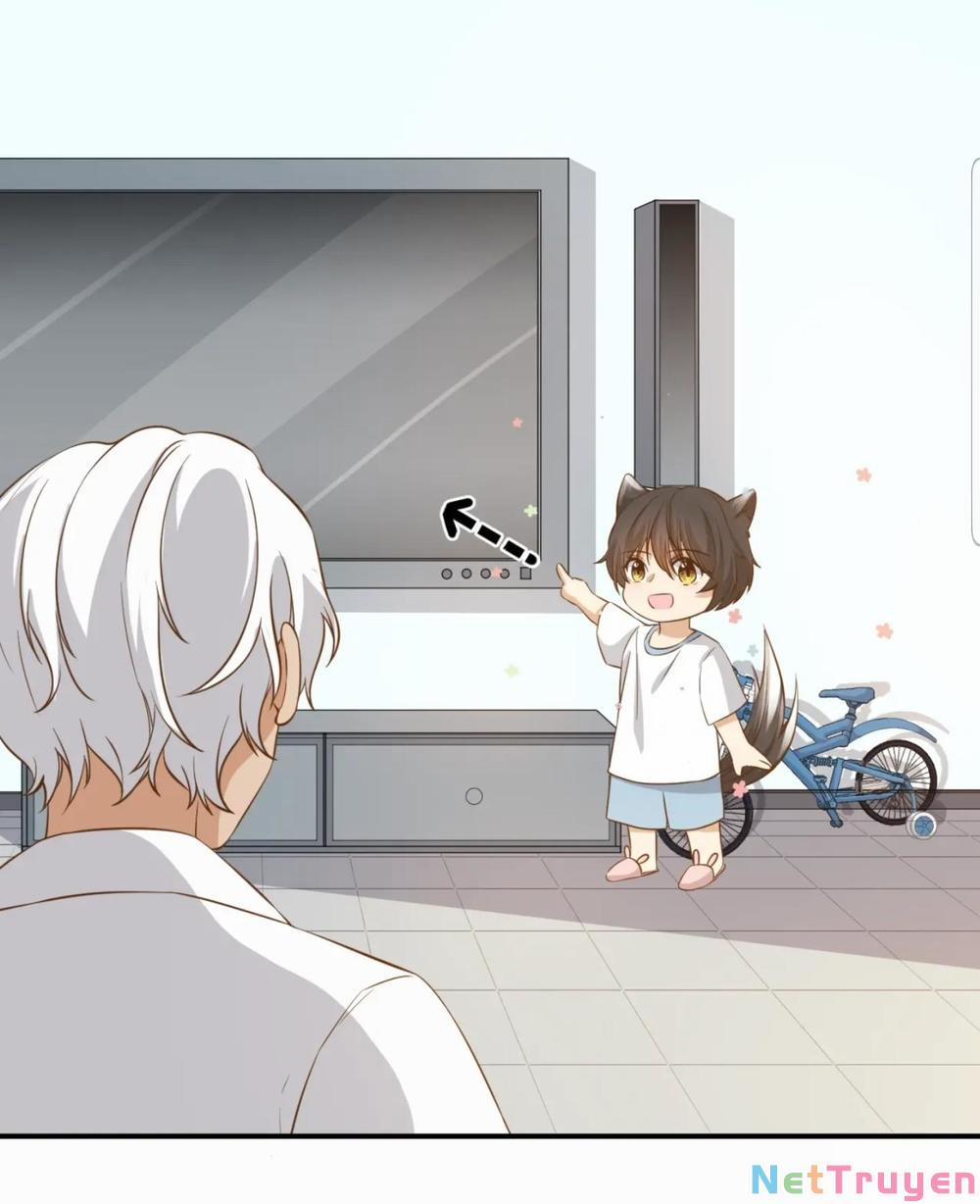 Dẫn Sói Vào Nhà 21 trang 5