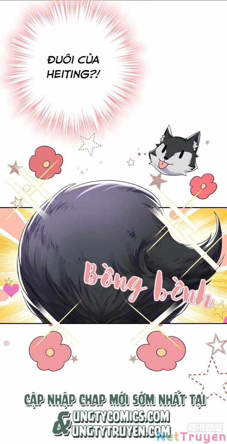 Dẫn Sói Vào Nhà 38 trang 13