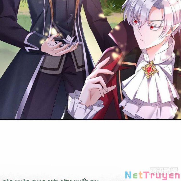 Dẫn Sói Vào Nhà 44 trang 17