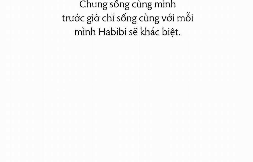 Đàn Thỏ Của Habibi Chương 18 Trang 17