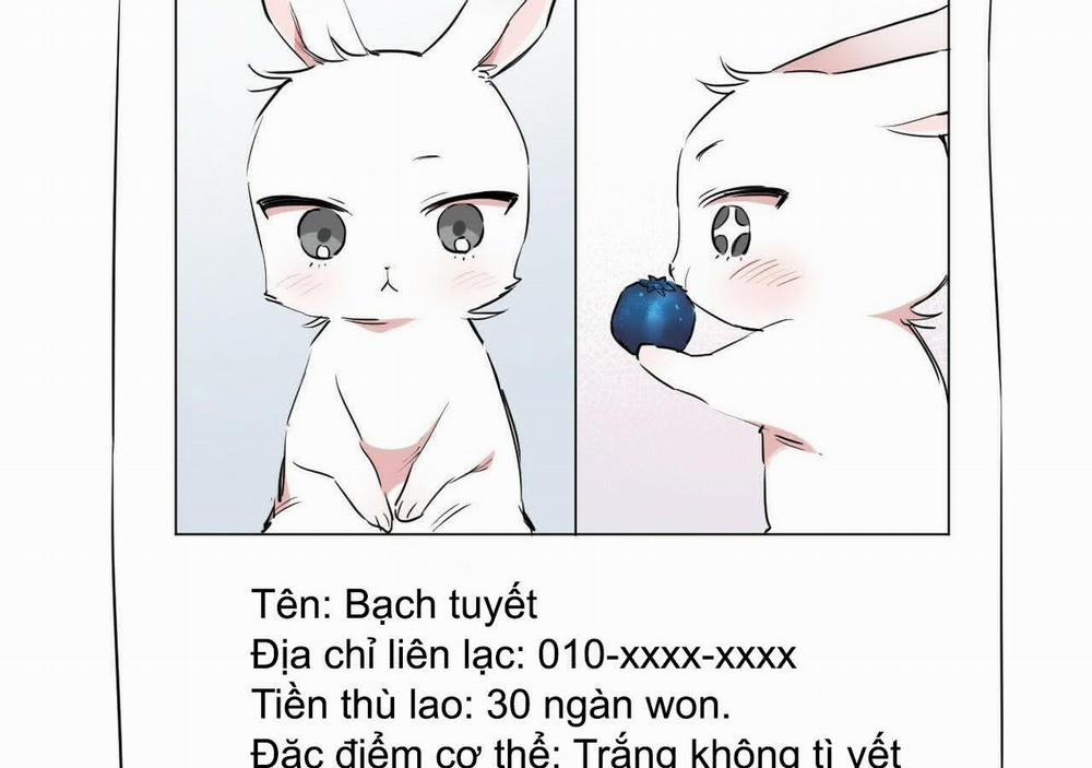 Đàn Thỏ Của Habibi Chương 20 Trang 97