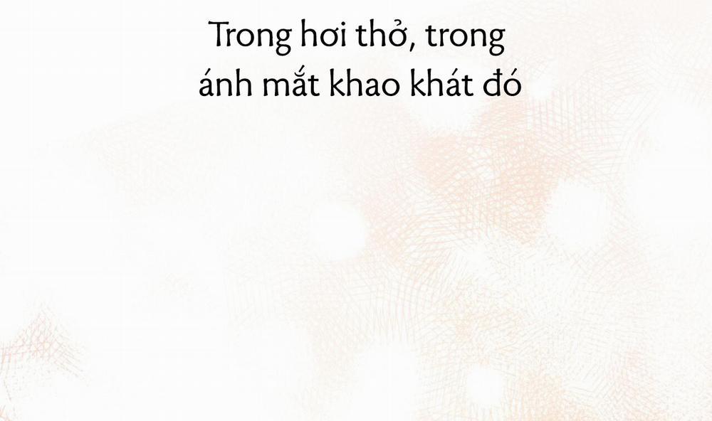 Đàn Thỏ Của Habibi Chương 43 Trang 207