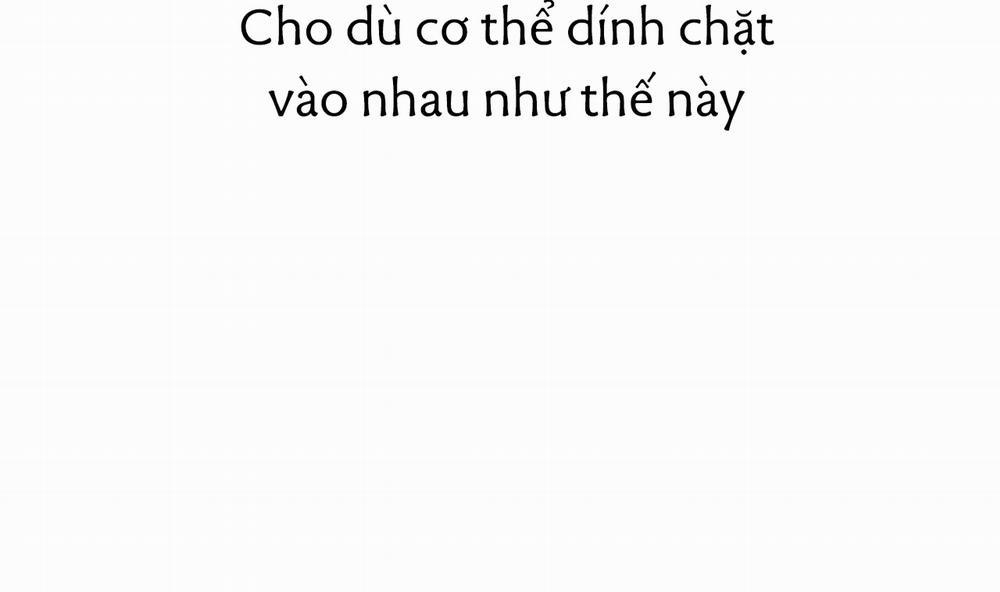 Đàn Thỏ Của Habibi Chương 43 Trang 50