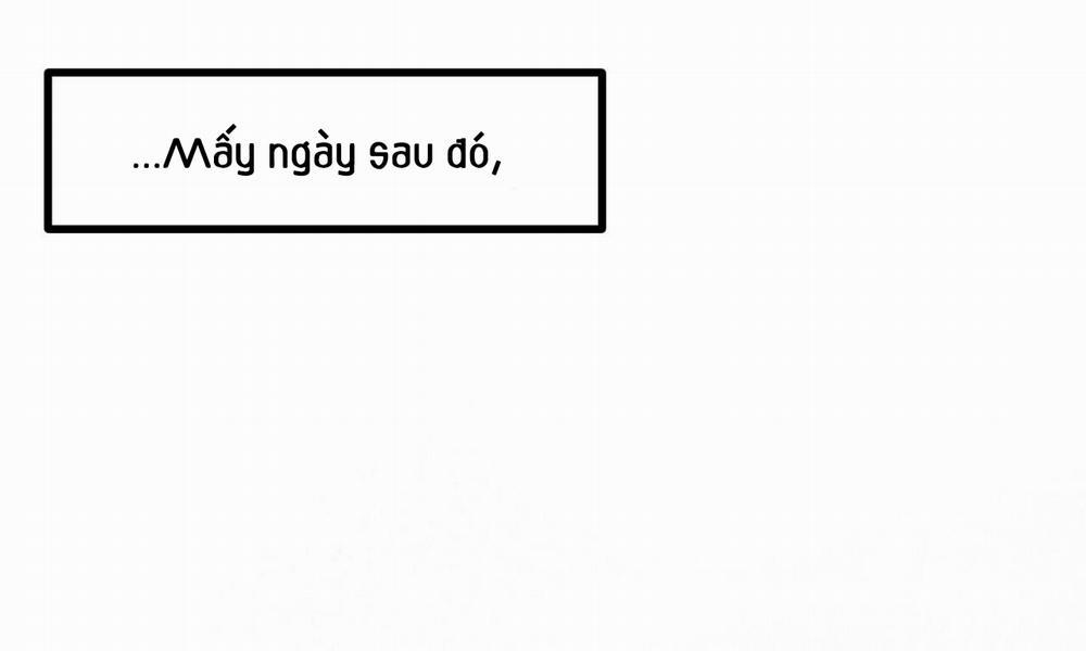 Đàn Thỏ Của Habibi 53 trang 10