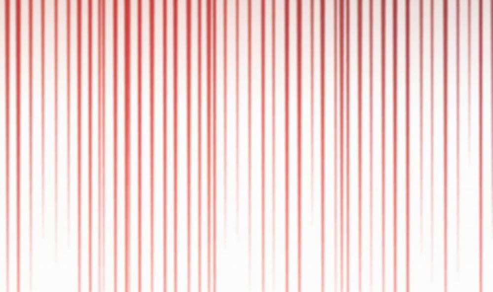 Đàn Thỏ Của Habibi 53 trang 206