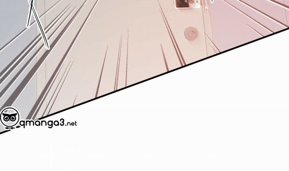 Đàn Thỏ Của Habibi 53 trang 210