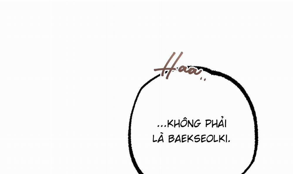 Đàn Thỏ Của Habibi 53 trang 242