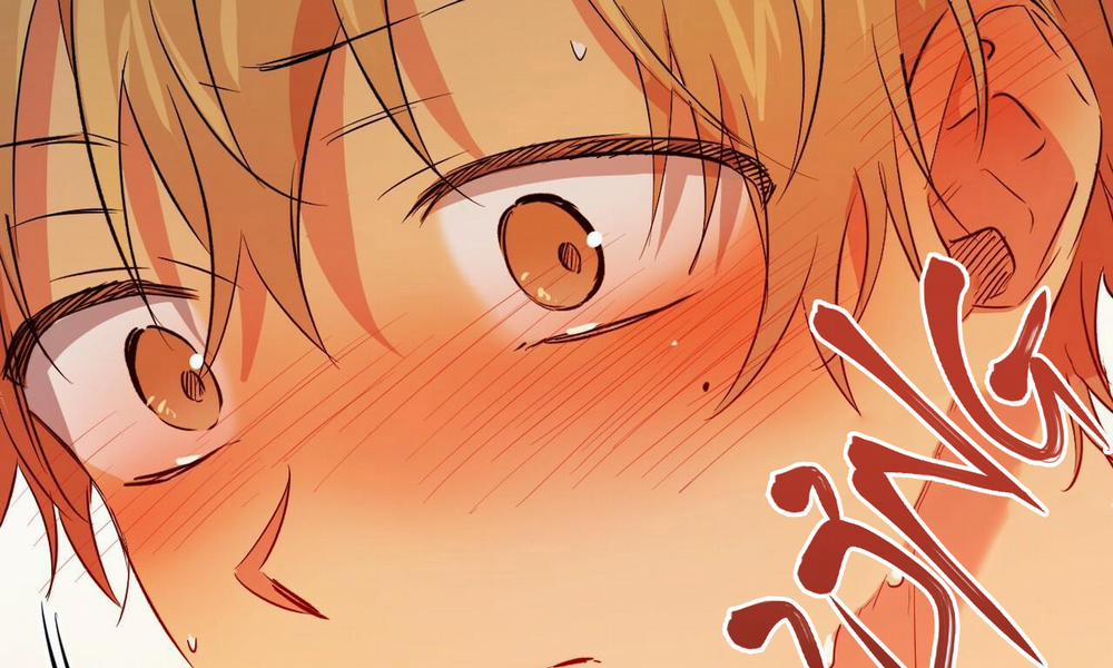 Đàn Thỏ Của Habibi 53 trang 265