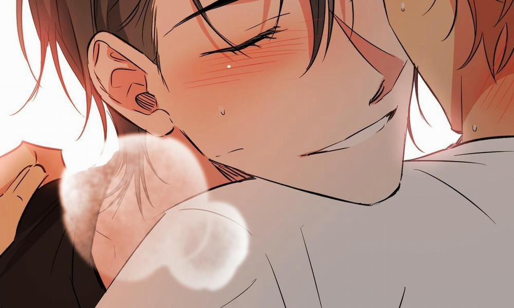 Đàn Thỏ Của Habibi 53 trang 272