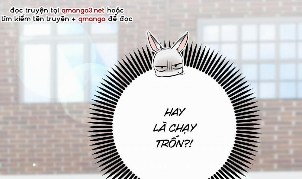 Đàn Thỏ Của Habibi 53 trang 44