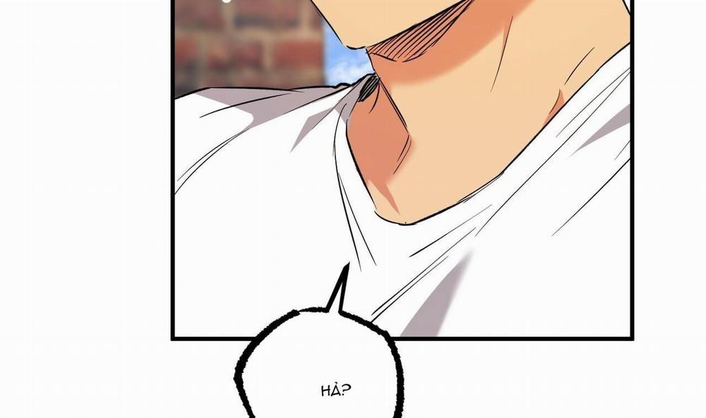 Đàn Thỏ Của Habibi 53 trang 57