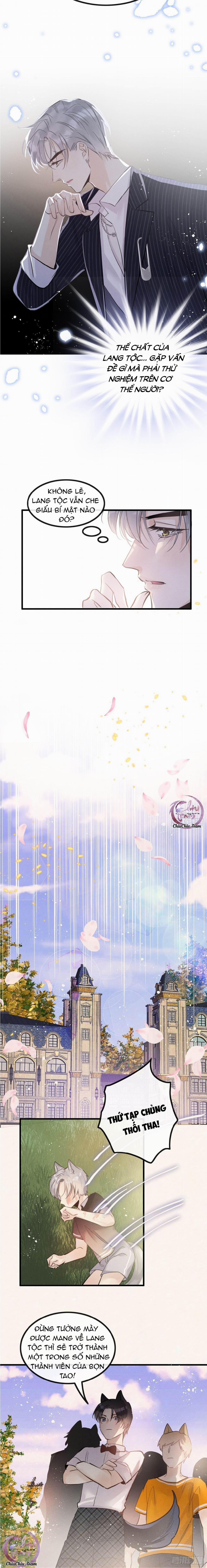 Dâng Lên Miệng Sói 16 trang 5