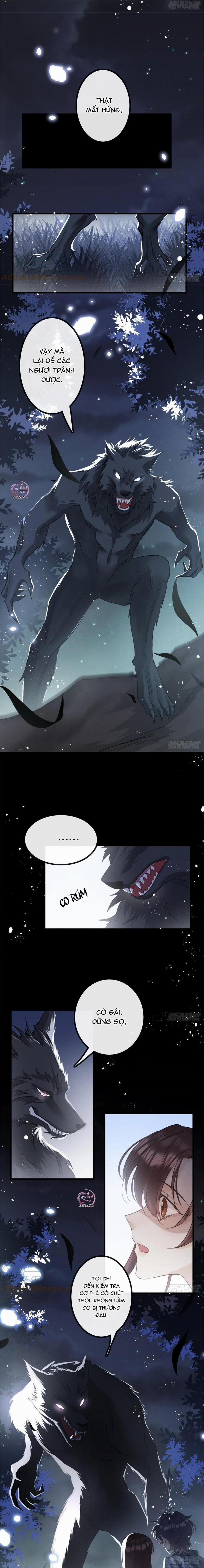 Dâng Lên Miệng Sói 27 trang 6