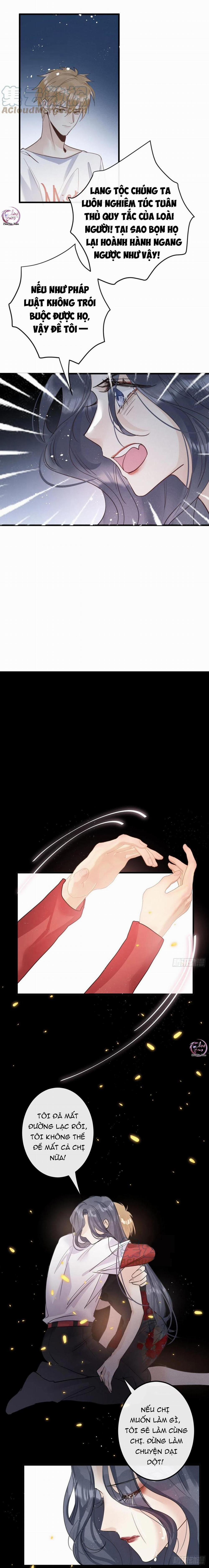 Dâng Lên Miệng Sói 31 trang 6