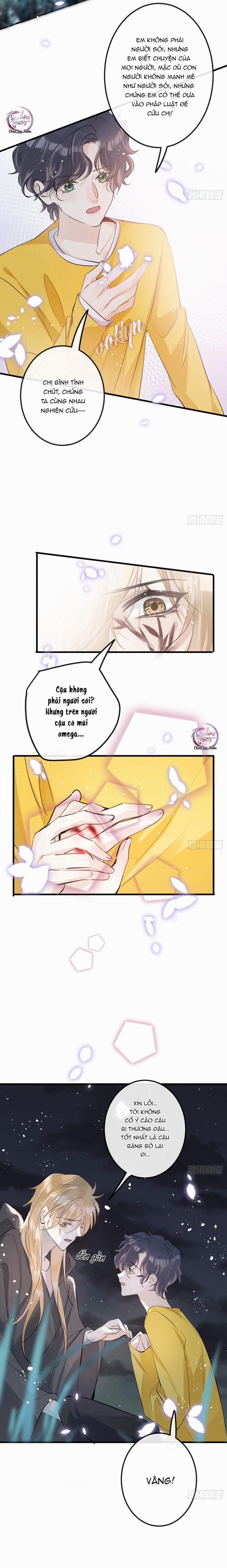 Dâng Lên Miệng Sói 41 trang 6