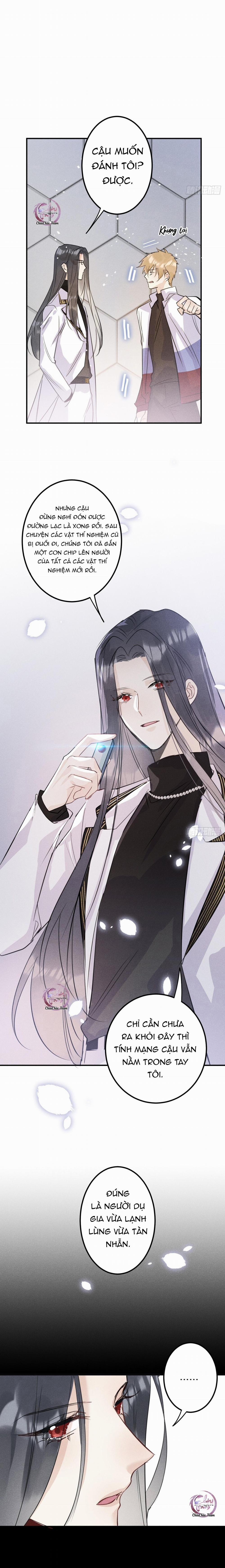 Dâng Lên Miệng Sói 51 trang 10