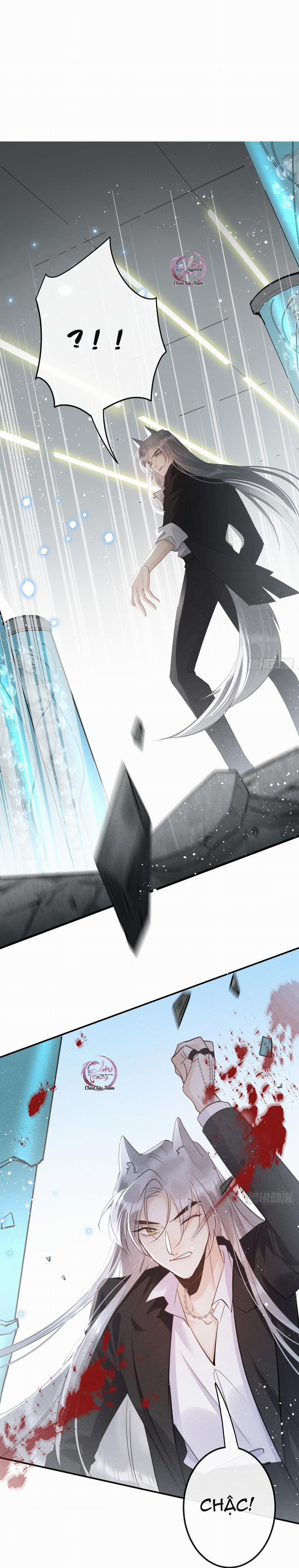 Dâng Lên Miệng Sói 53 trang 5