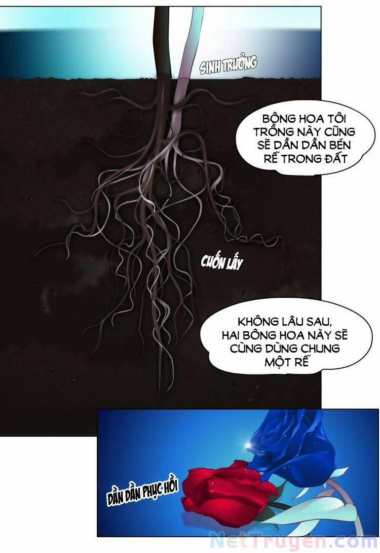 Đằng Nữ 14 trang 2