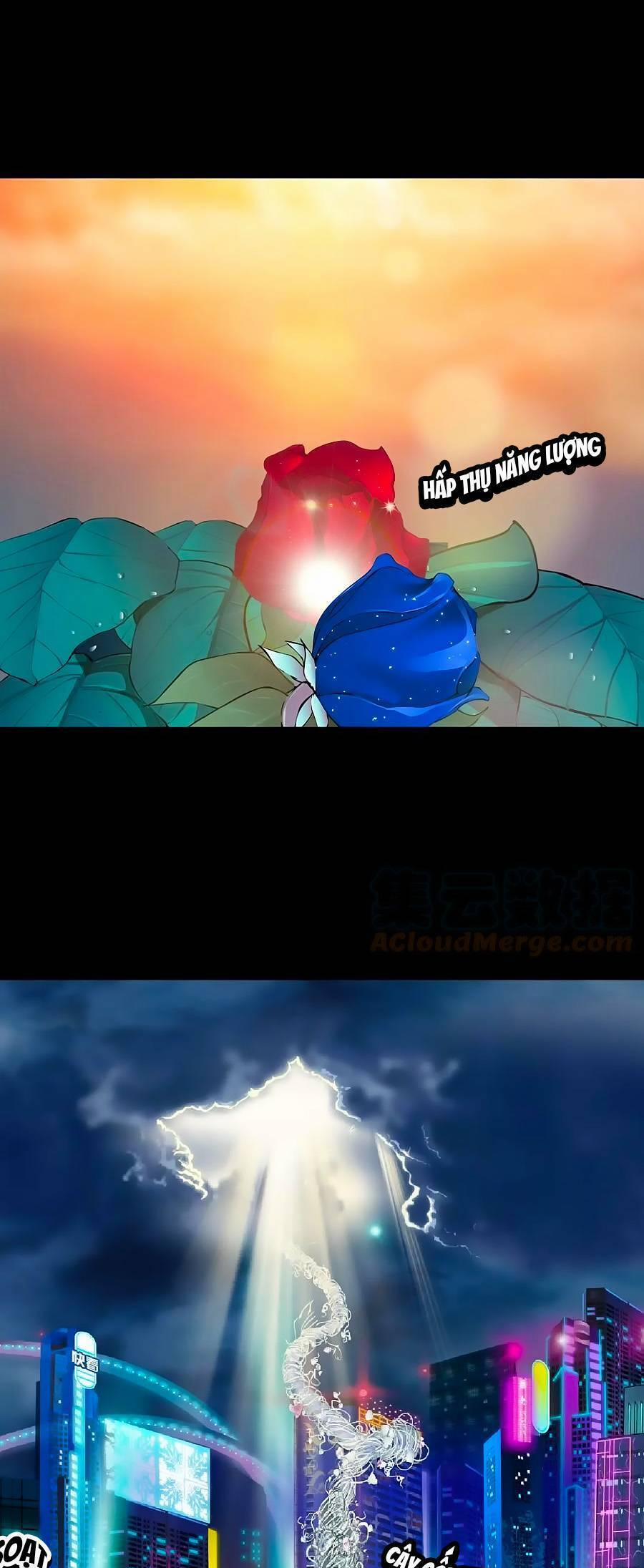 Đằng Nữ 154 trang 1