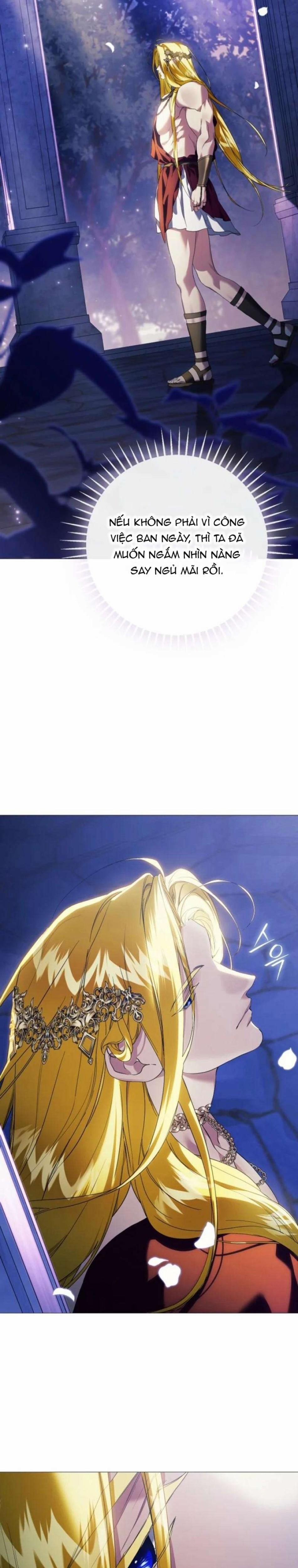 Dành Cho Các Nữ Thần : Dành Cho Daphne 12 trang 28