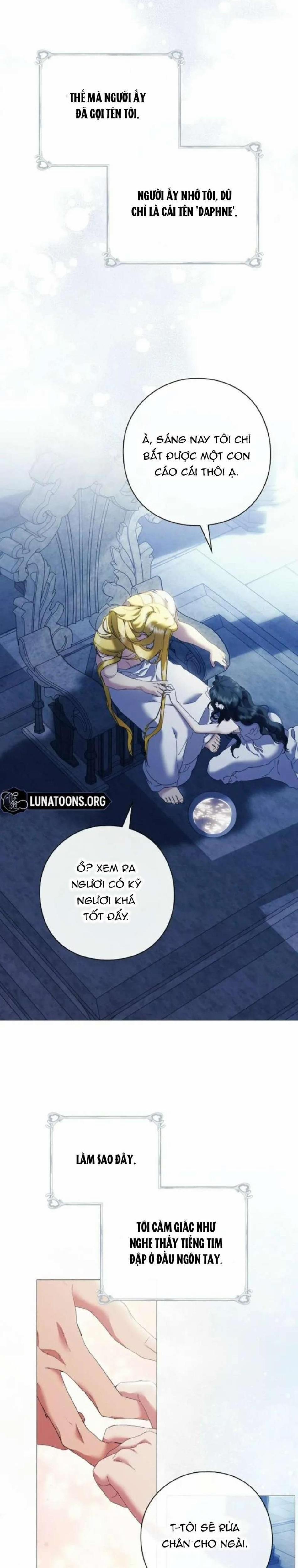 Dành Cho Các Nữ Thần : Dành Cho Daphne 3 trang 3