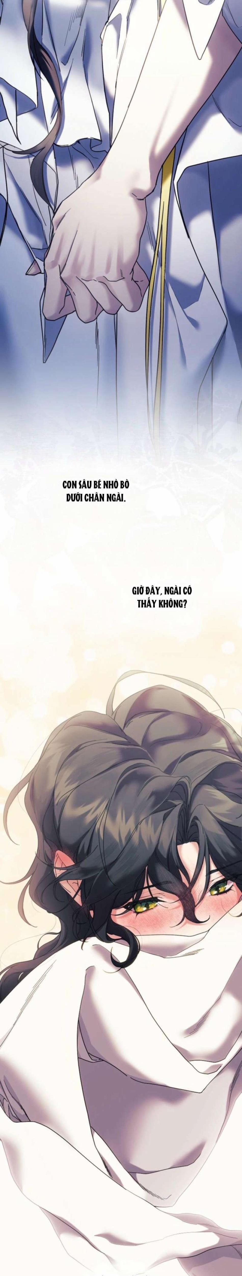 Dành Cho Các Nữ Thần : Dành Cho Daphne 4 trang 13