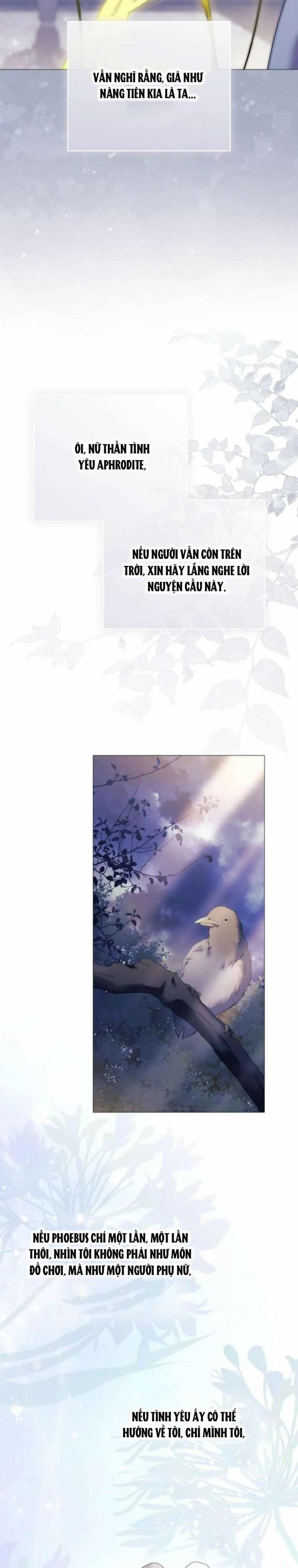 Dành Cho Các Nữ Thần : Dành Cho Daphne 4 trang 36