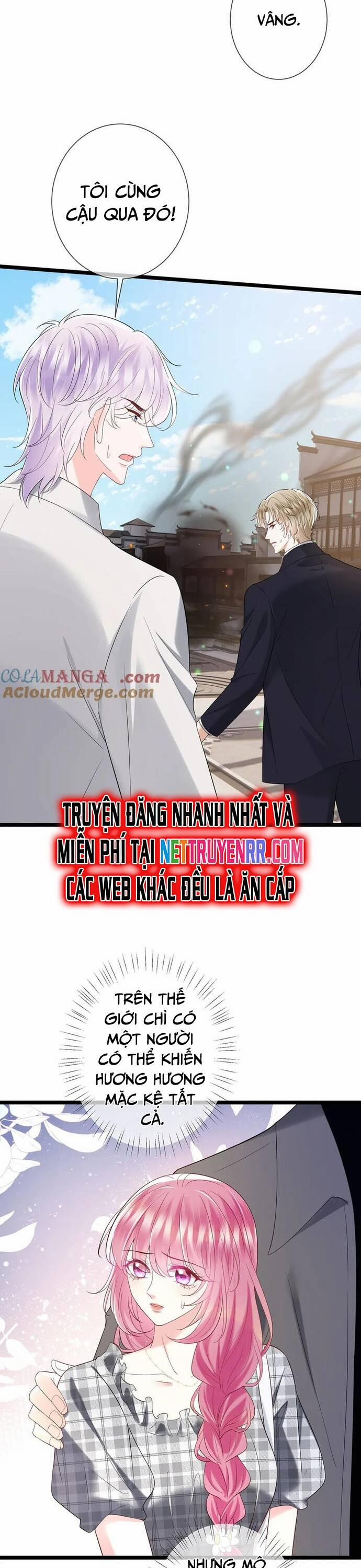 Danh Môn Chí Ái 509 trang 4