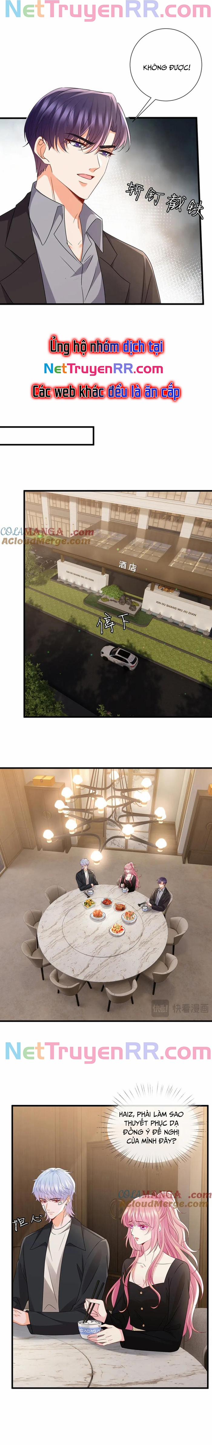 Danh Môn Chí Ái 523 trang 3