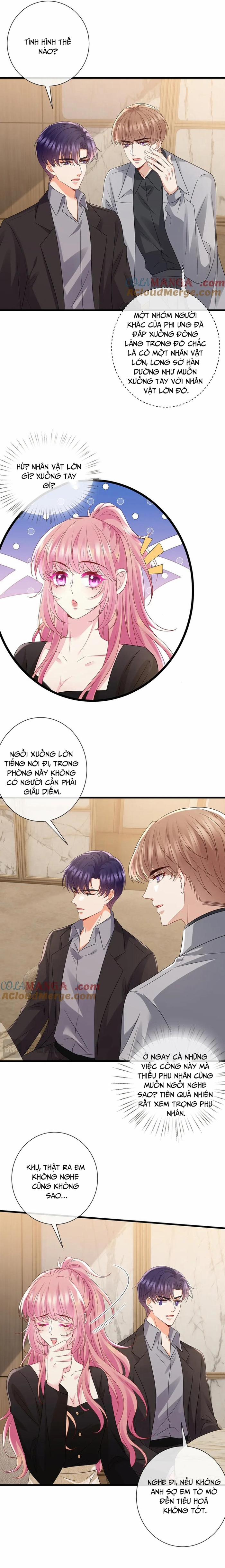 Danh Môn Chí Ái 523 trang 6