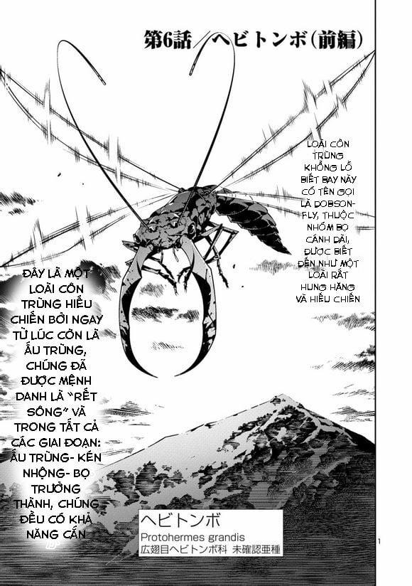 Đảo Côn Trùng 6 trang 1
