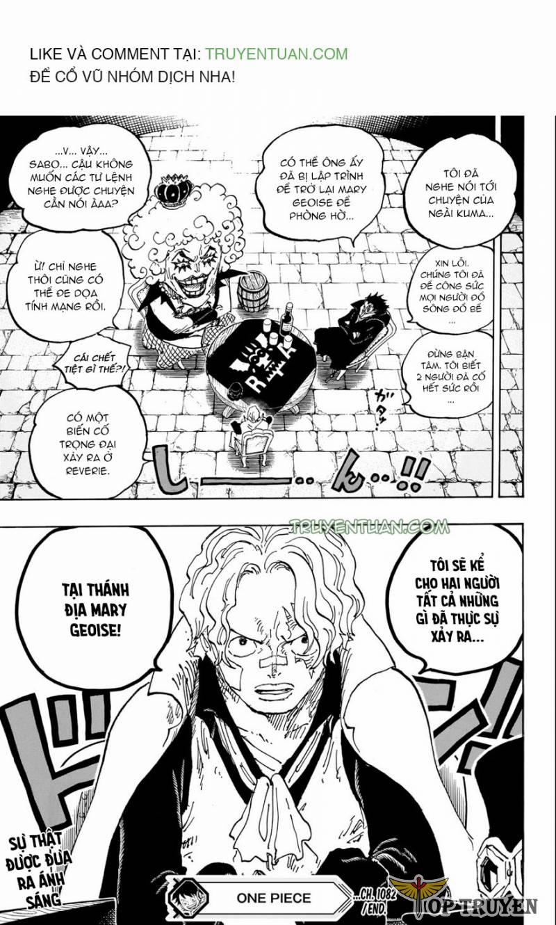 Đảo Hải Tặc 1082 trang 13