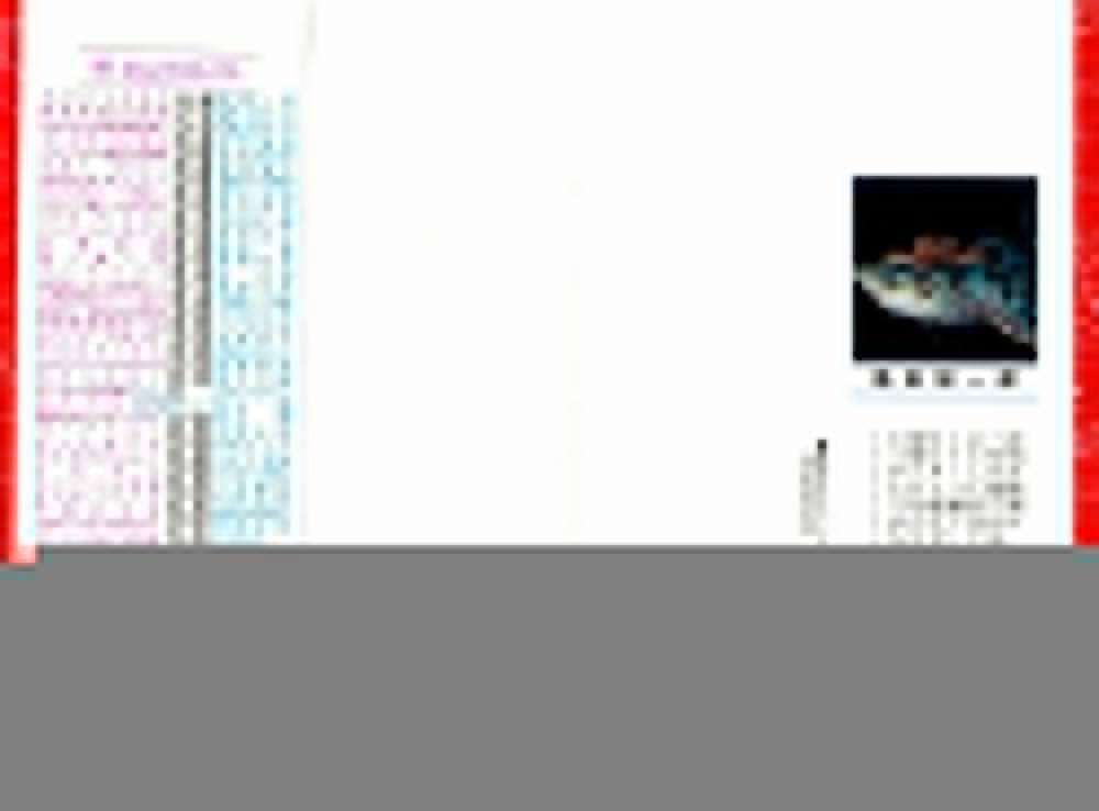 Đảo Hải Tặc 54 trang 1