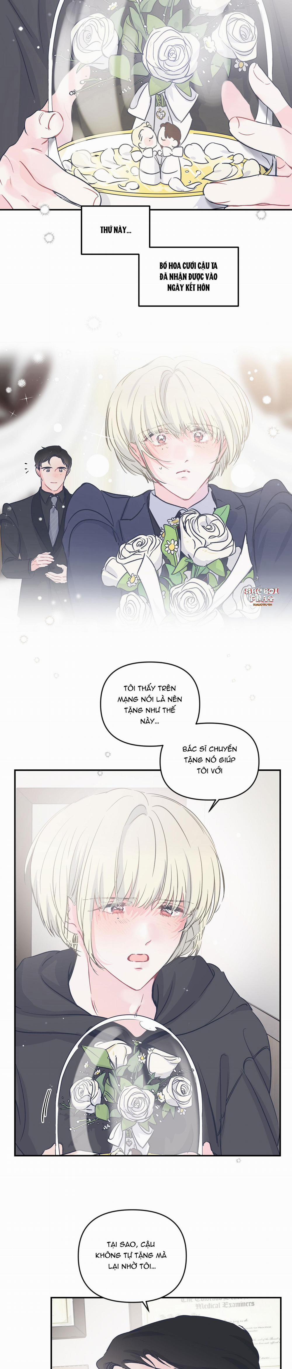 Đảo Ngược Của Đảo Ngược 12 trang 6